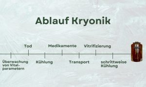Der Ablauf von Kryonik: Vom Tod hin zur Kühlung, Vitrifizierung und der Aufbwahrung in Thermobehältern